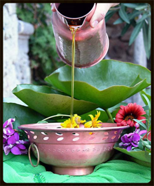 AtinamA Ayurveda in Toronto, ON