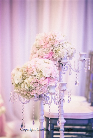 Carolina Wedding Belle in Raleigh, NC