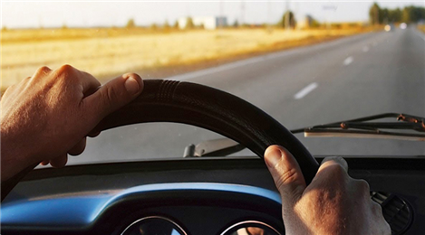 Roy Driving School in Jamaica, NY