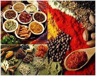 India Heritage in Birmingham, AL