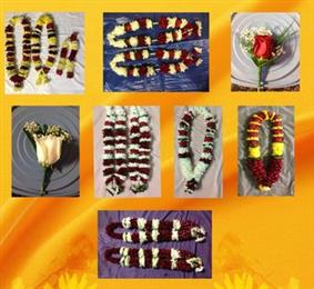 Shiv Sringar Malas in Flat Rock, MI