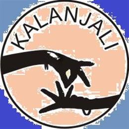 Kalanjali Dance Academy in Bettendorf, IA