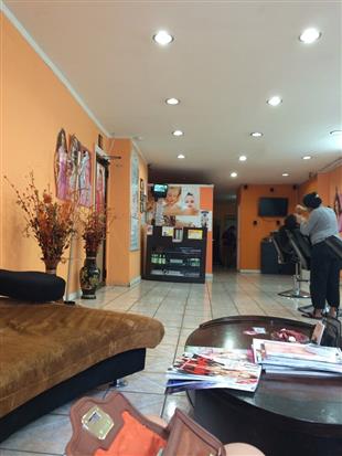 Elegant Eyebrow in New York, NY