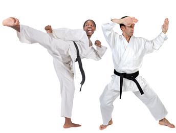 PRO Martial Arts in Detroit, MI