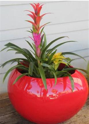 Creative Living in Denver, CO