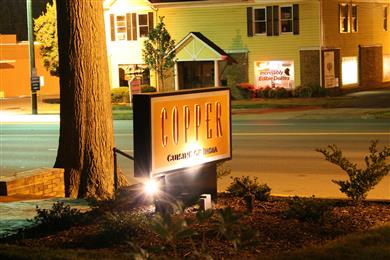 Copper Modern Indian Cuisine in Charlotte, NC