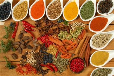 Turmerican Highlights in Novi, MI