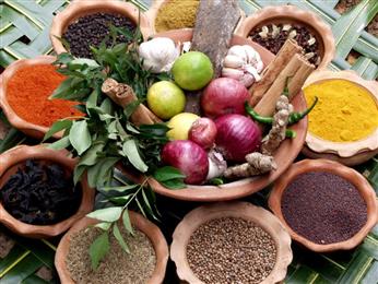 Practical Ayurveda Therapy in Nashville, TN