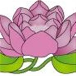 Berkeley Institute Of Homeopathy in Berkeley, CA