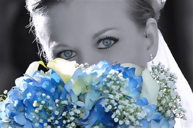 Brians Photography in Denver, CO