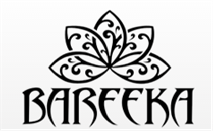 Bareeka Fashion Boutique in Houston, TX