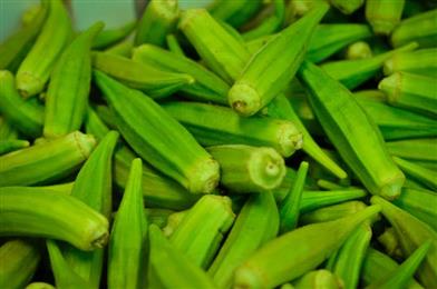 Indo American Store in Miami, FL