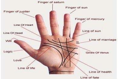 Experienced Palm Reading