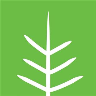 Bikram Yoga in Austin, TX