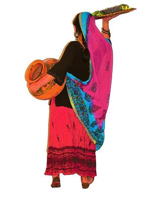 Tandoori Village in Manassas, VA