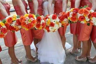 Petals On Park Avenue in Cincinnati, OH