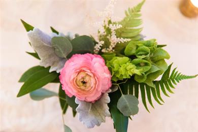 Fragile Paradise Florist in Pittsburgh, PA