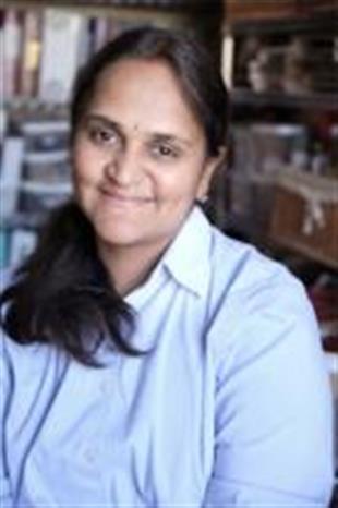 Priya K Srinivasan CPA in Minneapolis, MN