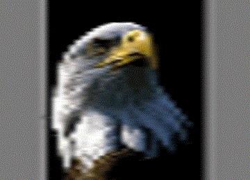 Basic Video Productions in San Antonio, TX