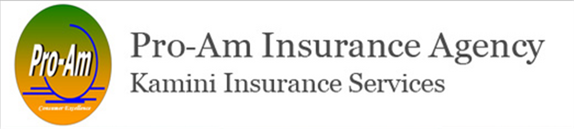 Pro Am Insurance Agency Inc in Los Angeles, CA
