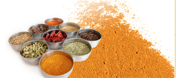 Meghana Foods Inc in Seattle, WA