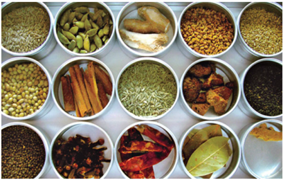 Haneedas Kitchen in Glen Mills, PA