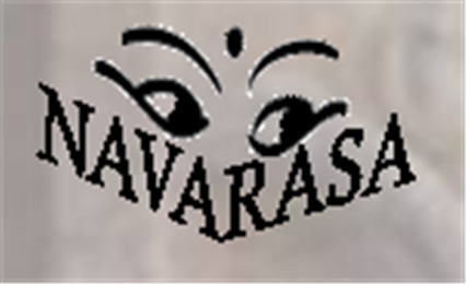 Navarasa Academy Of Performing Arts in Tampa, FL