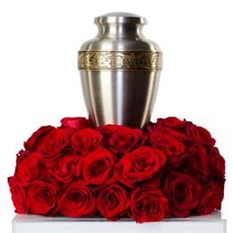 Dr Delphnium Designs And Events in Garland, TX