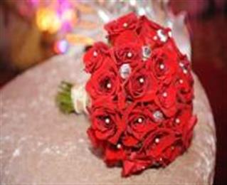 The Sterling in Bethpage, NY