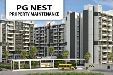 PG Nest Realtor