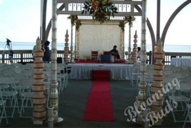 Blooming Buds in Stumpy Point, NC