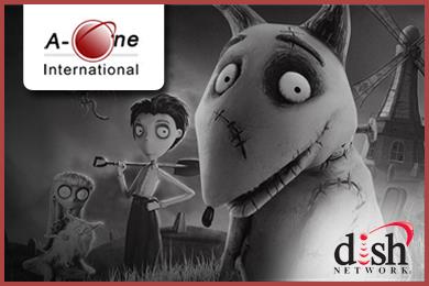 A OneInternational in Sugar Land, TX