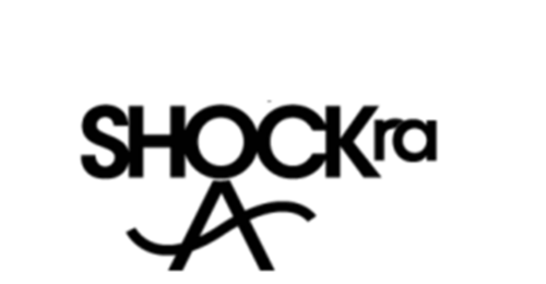 Shockra Dance Studio in New York, NY