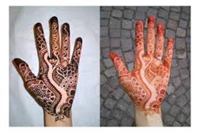 Ananda Henna in Denver, CO