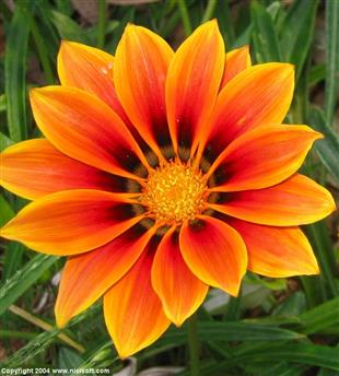 Usha Beauty Salon And Facial Spa in Lafayette, LA