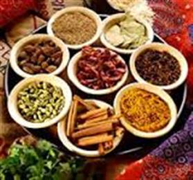 Veda Grill in Somerville, NJ