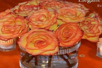 Elegant Weddings And Decor in Toccoa, GA