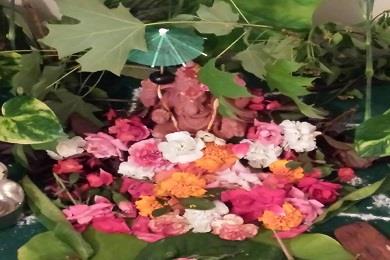 Sai Indian Groceries in Columbus, GA