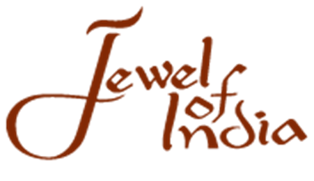 Jewel Native South Indian Cuisine in Silver Spring, MD