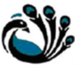 Saachi Wears in Jacksonville, FL