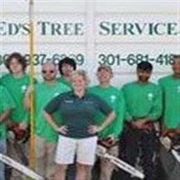 Eds Tree Service