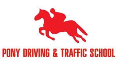 Pony Driving School in Los Angeles, CA