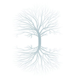 Roots Of Wellness Ayurveda in Boulder, CO