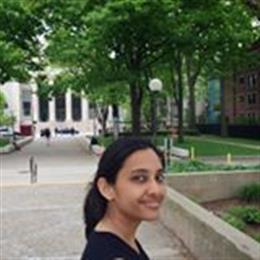 Surdemy Indian Classical Music And Raga in Walled Lake, MI