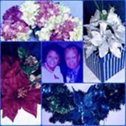 Blu Honey in Lowell, MA