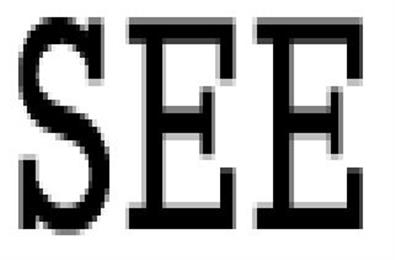 SEE in Los Angeles, CA