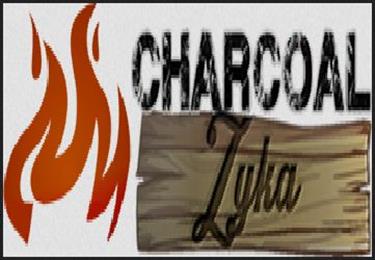 Charcoal Zyka in Orlando, FL