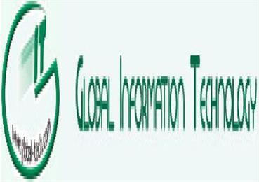 Global Information Technology in Southfield, MI