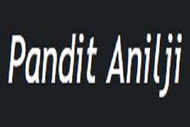 Pandit Anilji Vedic Astrologer in Concord, CA