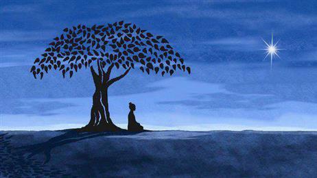 Stress Counseling
